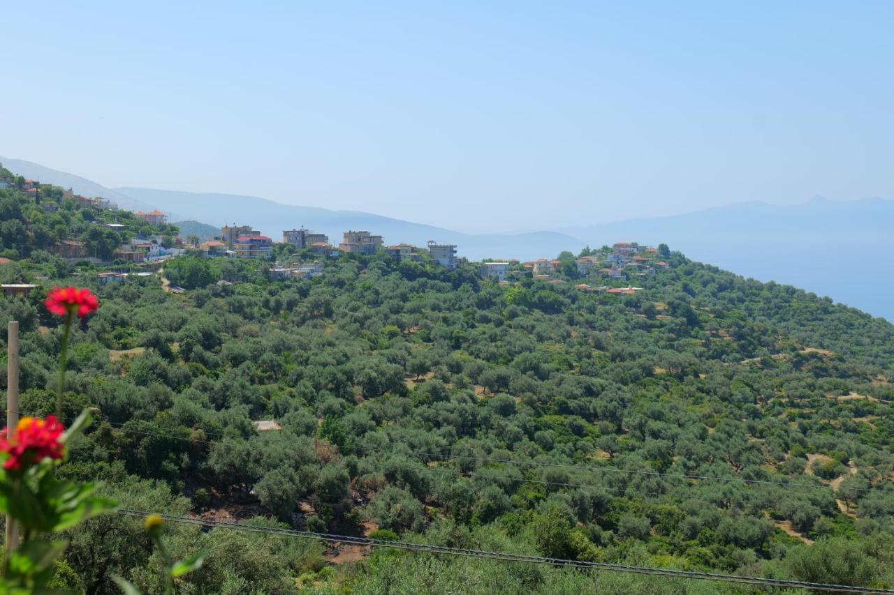 Bed and Breakfast Vila Panorama Piqeras Екстер'єр фото