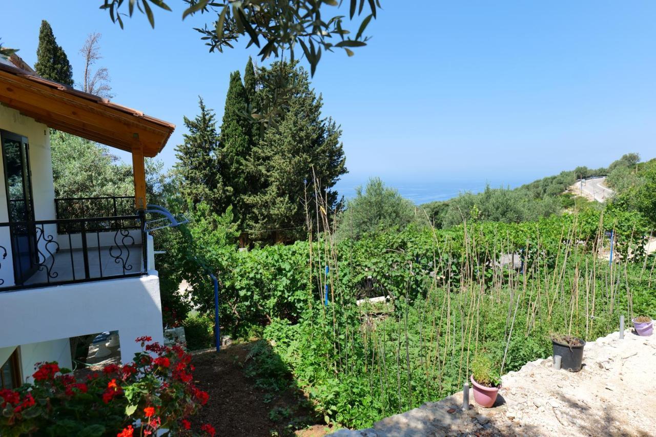 Bed and Breakfast Vila Panorama Piqeras Екстер'єр фото